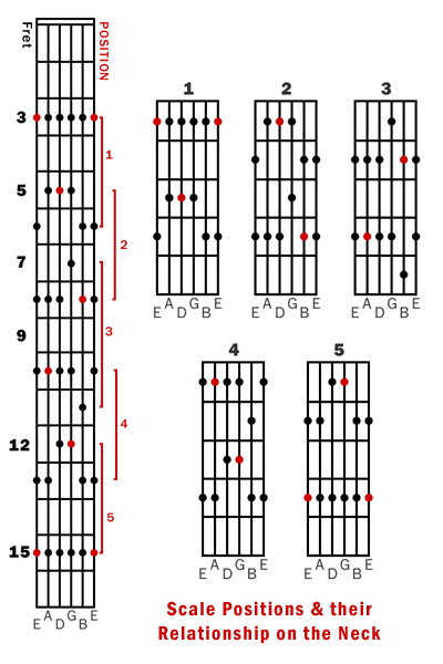 Guitar Scale Positions